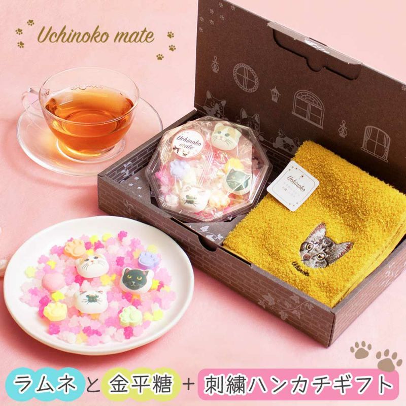 猫ギフトセット